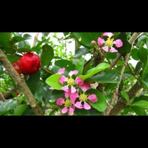 Meet your Posher, Molly